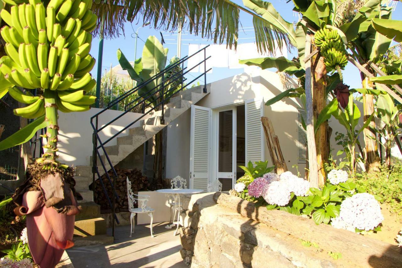 Quinta Tallinus Funchal  Exterior photo